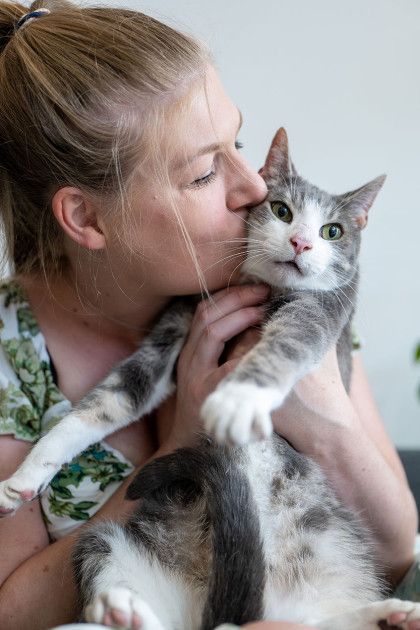 Missing cat returns home after two years of adventuring | North West ...
