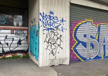 City of Melbourne seeks joint effort with state government to rid the city of graffiti as deterrence reaches critical point