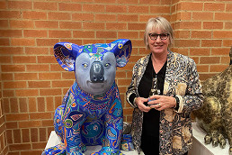 Haileybury’s student koala project becomes a beacon of hope