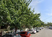 17_Albermarle-St-Trees.jpg